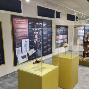 Museo Xeolóxico de Quiroga
